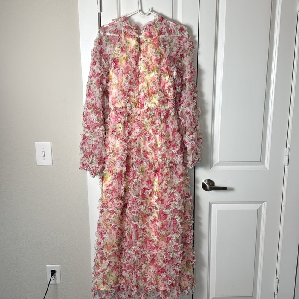 NEW CATCHALL Pullan Pink Floral Mesh Maxi Dress - Picture 6 of 7